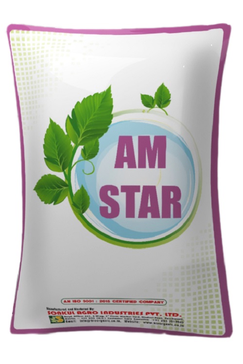 AM STAR